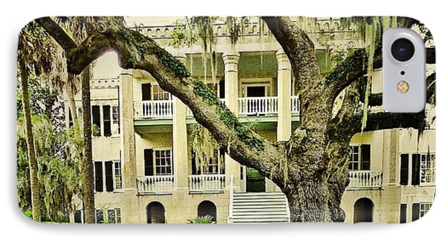 Oak Trees iPhone 7 Case featuring the photograph The Cat Guarding the Castle by Patricia Greer