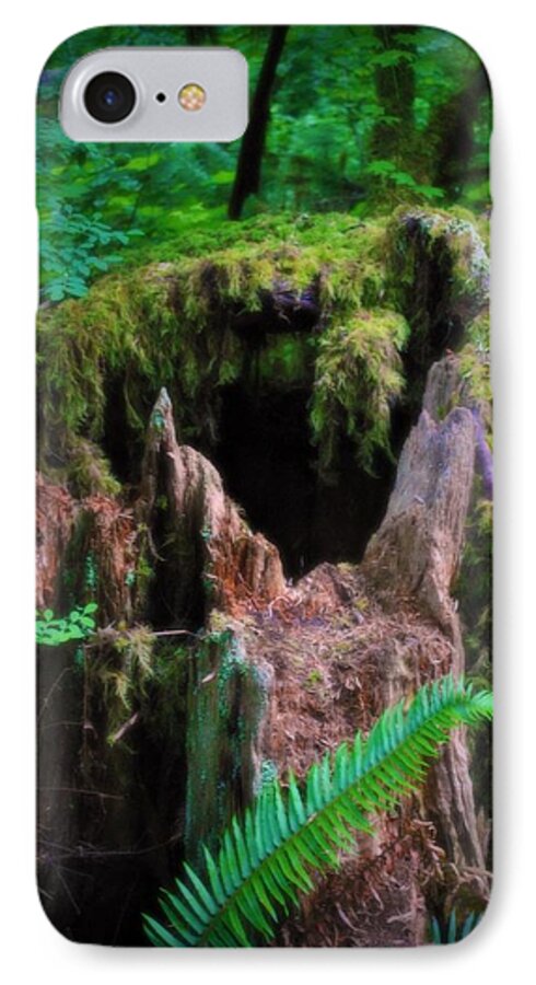 Creatures iPhone 7 Case featuring the photograph The Creature's Home by Amanda Eberly