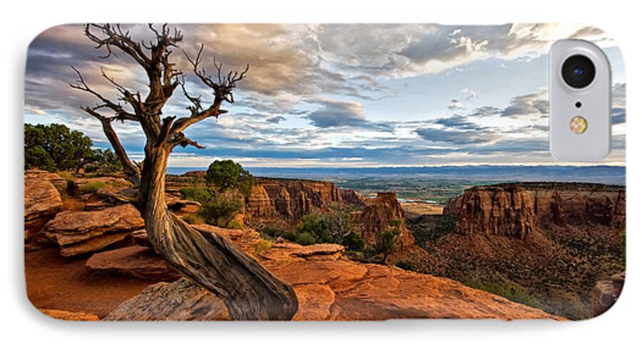 Colorado National Monument iPhone 7 Case featuring the photograph The Crooked Old Tree by Ronda Kimbrow