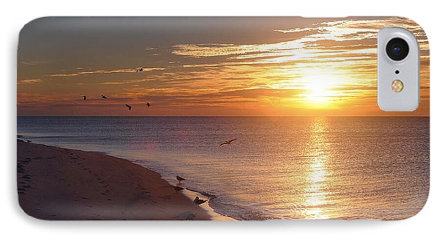 Dawn iPhone 7 Case featuring the photograph The Dawn's Early Light by Renee Hardison