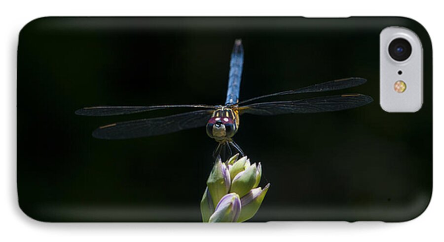 Dragon Flys iPhone 7 Case featuring the photograph The Dragon lady by Terry Cosgrave