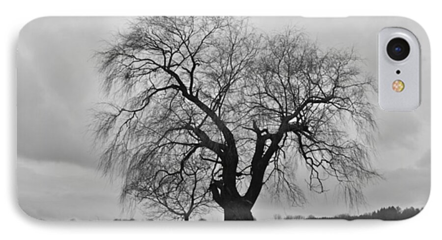 Tree iPhone 7 Case featuring the photograph The Fall by Brooke Friendly