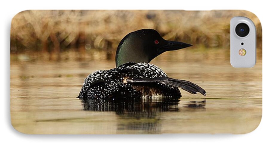 Loon iPhone 7 Case featuring the photograph The Fish Went That Way by Steven Clipperton