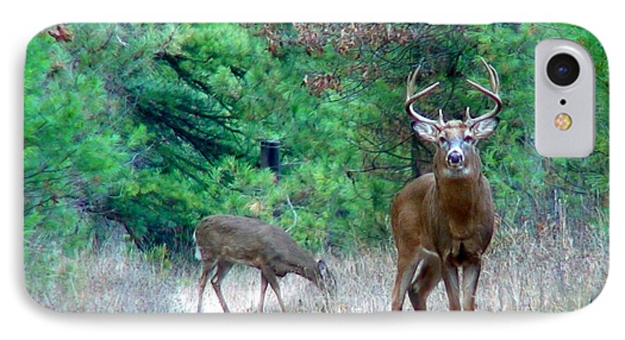 Whitetail iPhone 7 Case featuring the photograph The King by Thomas Young