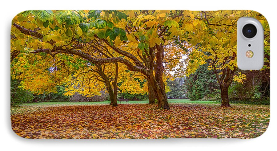 Leaves iPhone 7 Case featuring the photograph The Leaves of Autumn by Ken Stanback