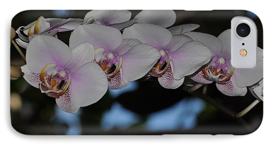 Orchid iPhone 7 Case featuring the photograph The Orchid Garden by Nona Kumah
