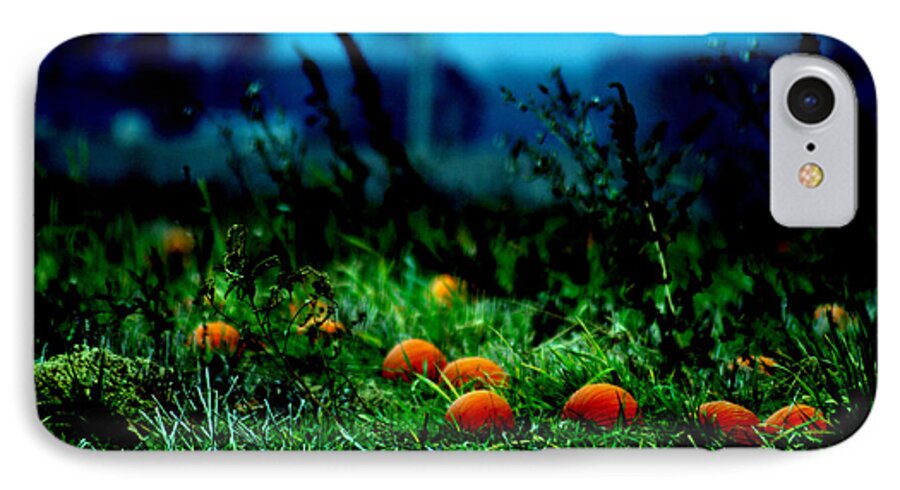 Pumkins iPhone 7 Case featuring the photograph The Pumpkin Patch by Lesa Fine