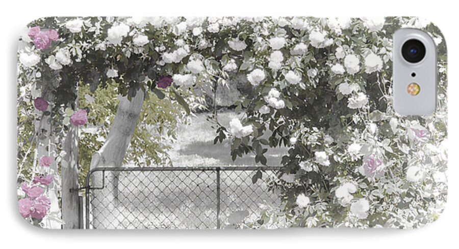 Flowers iPhone 7 Case featuring the photograph The Rose Arbor by Elaine Teague