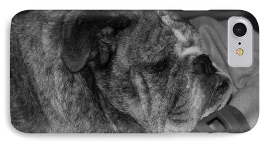 Bulldog iPhone 7 Case featuring the photograph The Sacred Ballie by Jeanette C Landstrom