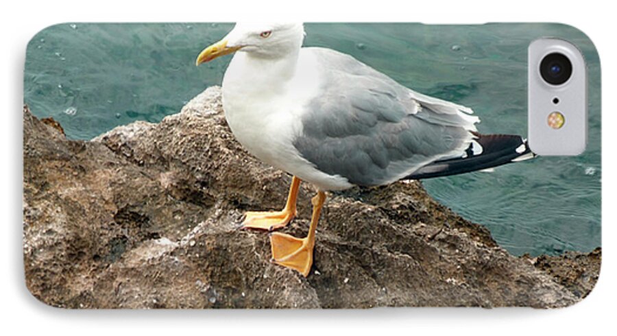 Thethinker iPhone 7 Case featuring the photograph The Thinker - seagull photography by Giada Rossi by Giada Rossi