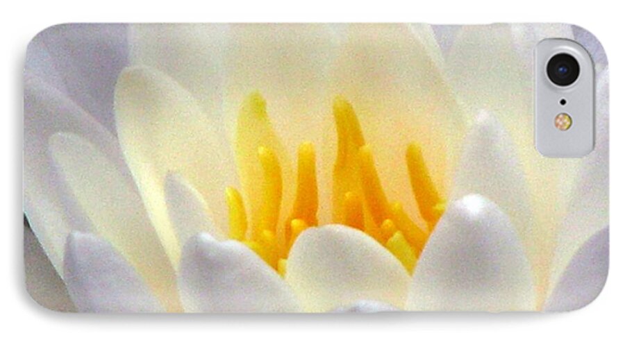 Water Lilies iPhone 7 Case featuring the photograph The Water Lilies Collection - 11 by Pamela Critchlow