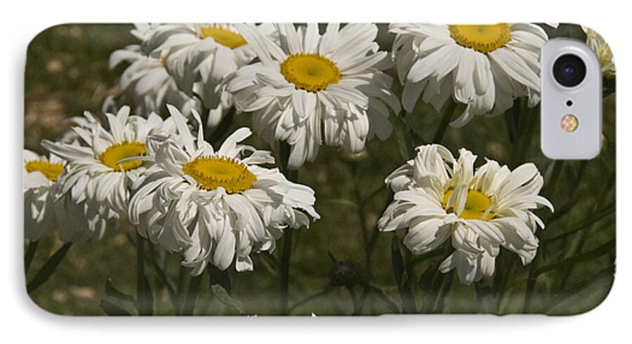 Flower iPhone 7 Case featuring the photograph Thome Wins The Game by Trish Tritz