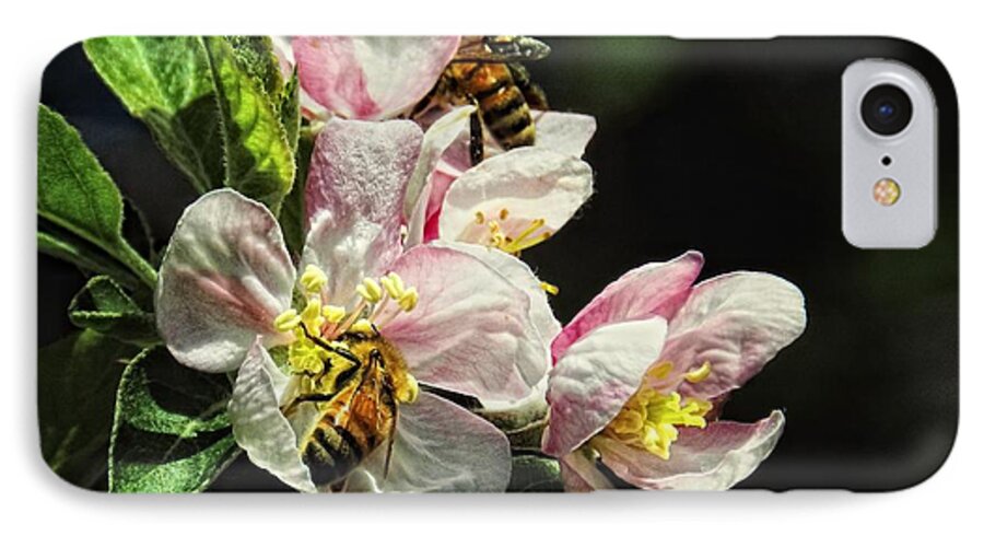 Honey iPhone 7 Case featuring the photograph Time To Make The Honey by Sharon Woerner