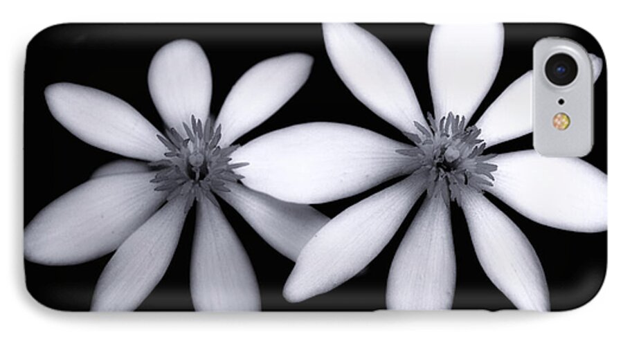 Botanical iPhone 7 Case featuring the photograph Tiny Dancers-black And White by Tom Druin