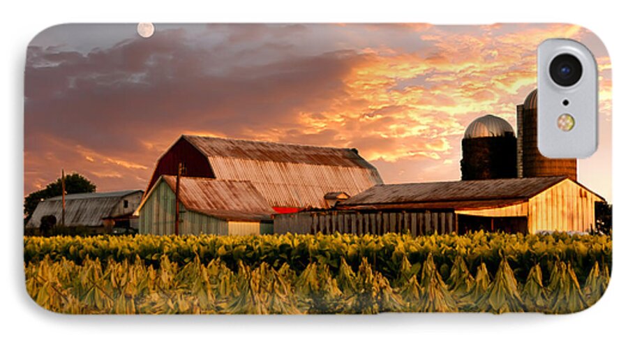  Tobacco Row iPhone 7 Case featuring the photograph Tobacco Row by Randall Branham