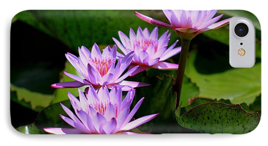 Aquatic Framed Prints iPhone 7 Case featuring the photograph Together We Bloom - Violet Lily by Ramabhadran Thirupattur