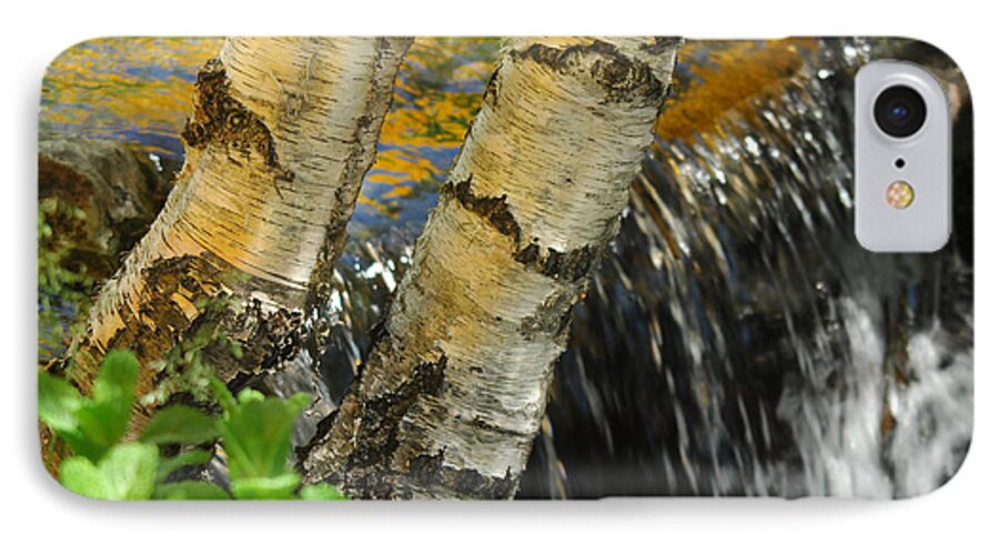 Birch Trees iPhone 7 Case featuring the photograph Totally Birching by Donna Blackhall