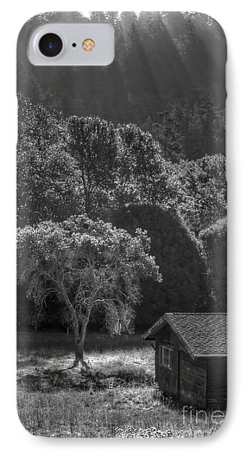 Tree iPhone 7 Case featuring the photograph Tree and Barn on Foggy Morning by Morgan Wright