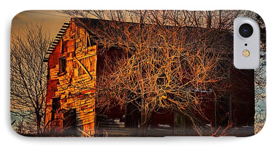 Tree iPhone 7 Case featuring the photograph TREE House by Robert McCubbin