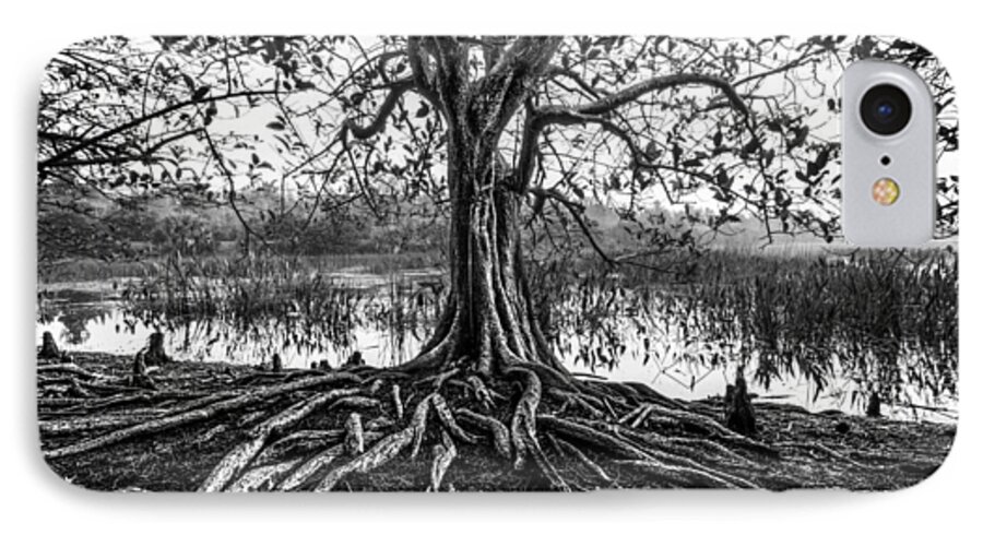 Clouds iPhone 7 Case featuring the photograph Tree of Life by Debra and Dave Vanderlaan