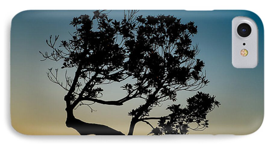 Tree iPhone 7 Case featuring the photograph Tree Silhouetted Against the Setting Sun by Dean Harte
