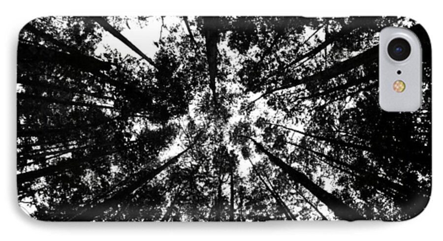 Trees iPhone 7 Case featuring the photograph Trees Above Me by Daniel Woodrum