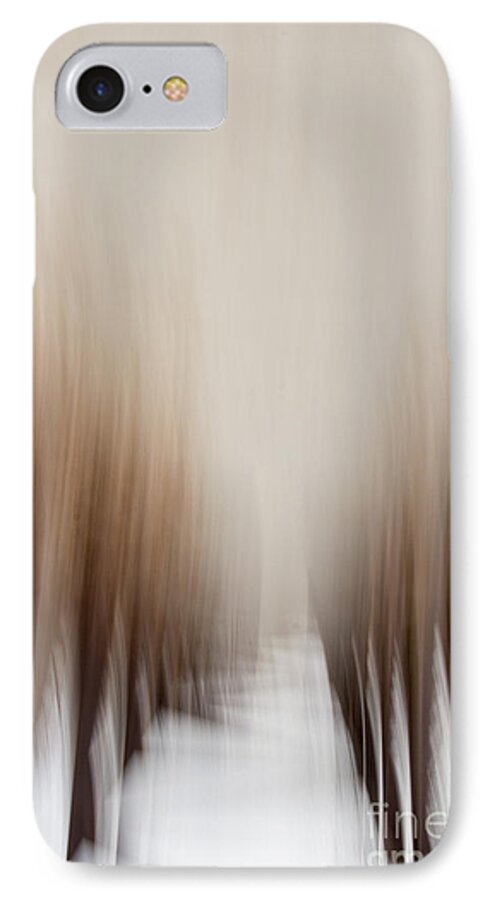 Tree iPhone 7 Case featuring the photograph Trees in Winter by Margie Hurwich