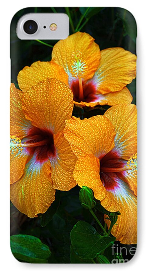 Cherie Hibiscus iPhone 7 Case featuring the photograph Trinity by Aloha Art