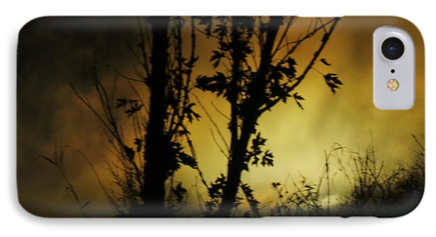 Sunrise. Idaho. Landscape. Trees. iPhone 7 Case featuring the photograph Trunks Of Trees by Debbi Saccomanno Chan