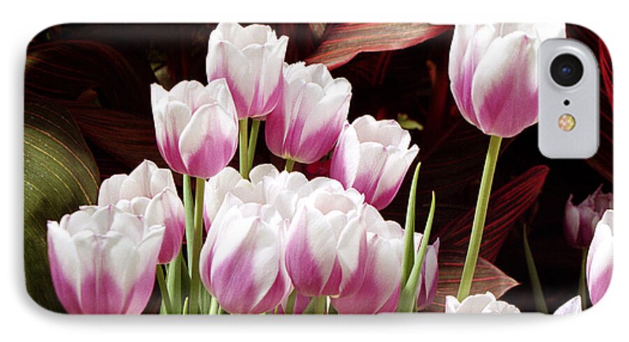 Flower iPhone 7 Case featuring the photograph Tulips 2 by Tom Brickhouse