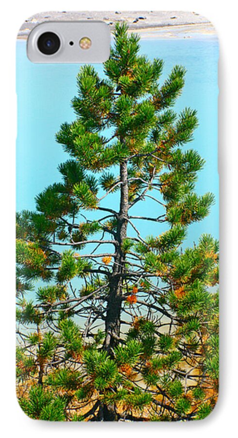  iPhone 7 Case featuring the photograph Turquoise Tree by Jon Emery