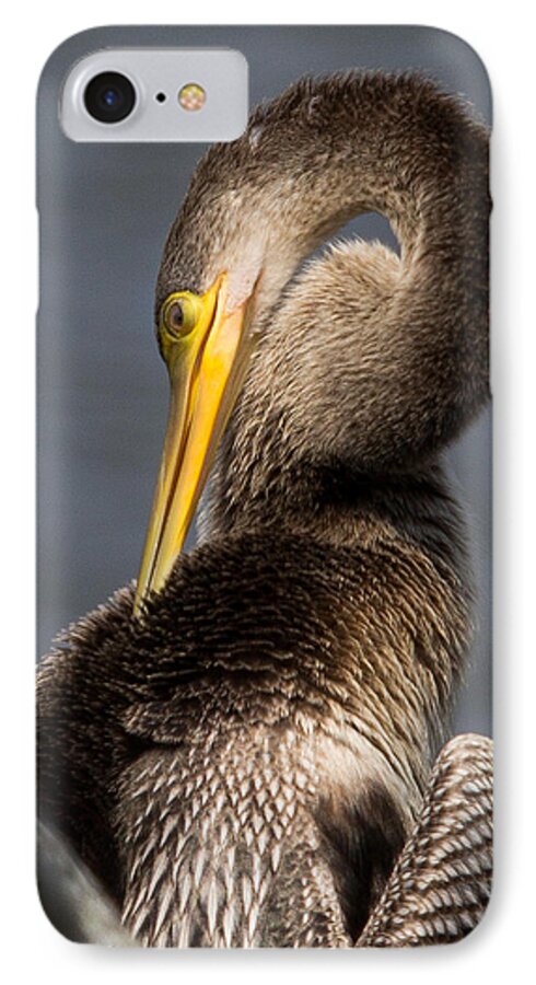 Anhinga iPhone 7 Case featuring the photograph Twisted Bird by Alan Raasch
