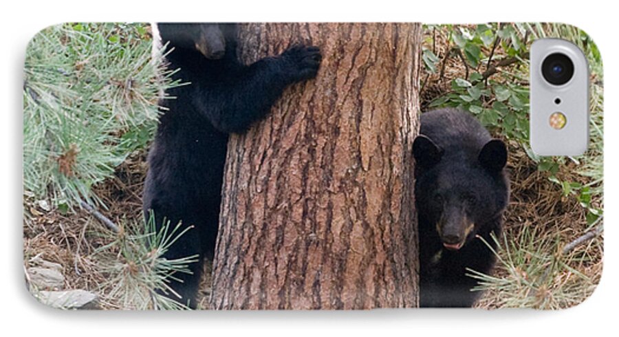 Black Bear iPhone 7 Case featuring the photograph Two Bears by Bon and Jim Fillpot