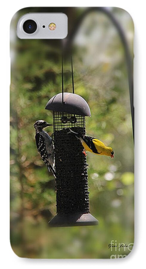 Downy Woodpecker iPhone 7 Case featuring the photograph Two Birds on the feeder by Yumi Johnson