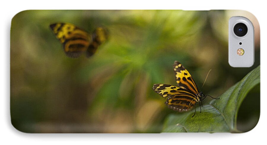 Butterfly iPhone 7 Case featuring the photograph Two Butterflies by Bradley R Youngberg
