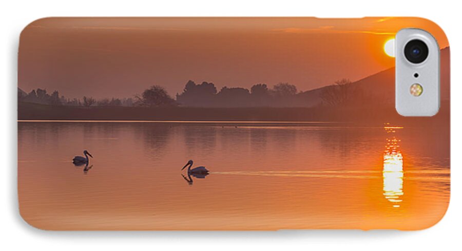 Landscape iPhone 7 Case featuring the photograph Two Pelicans at Sunrise by Marc Crumpler