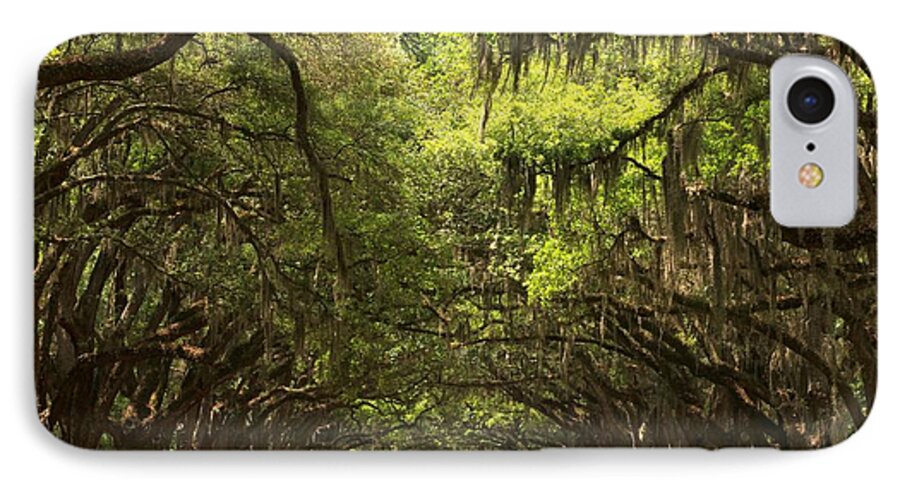 Avenue Of The Oaks iPhone 7 Case featuring the photograph Under The Ancient Oaks by Adam Jewell