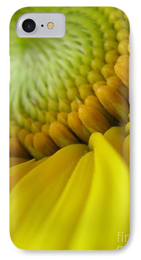 Flower iPhone 7 Case featuring the photograph Unity Photography by Holy Hands