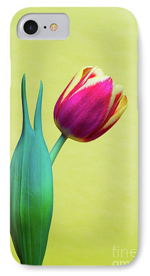 Bold iPhone 7 Case featuring the photograph Vibrant Tulip Peace Sign  by Linda Matlow