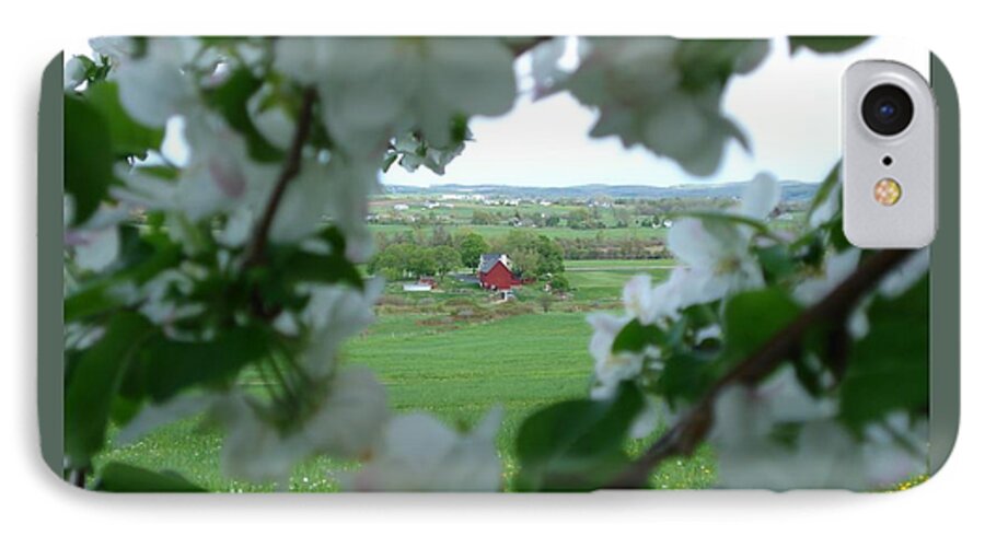 Apple Blossoms iPhone 7 Case featuring the photograph View Through Apple Blossoms by Patricia Overmoyer