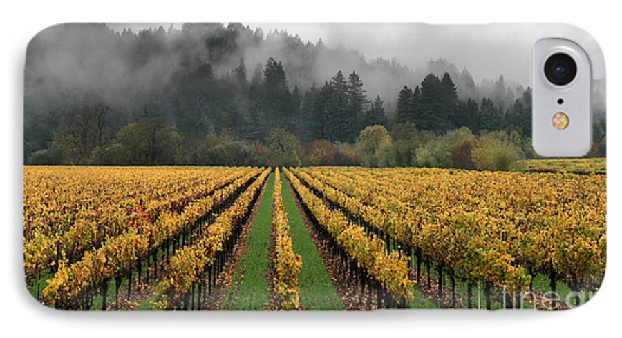 Russian River Wine Country iPhone 7 Case featuring the photograph Vineyard Russian River Wine Country Sonoma County California by Wernher Krutein