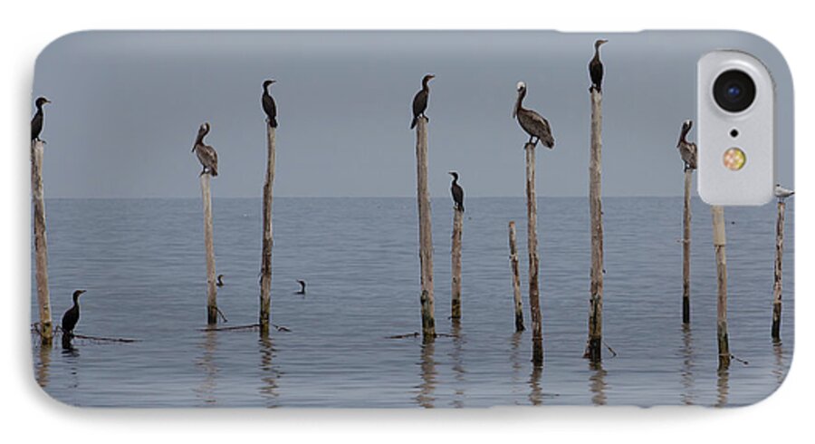 Bay iPhone 7 Case featuring the photograph Waiting 1 by Leah Palmer