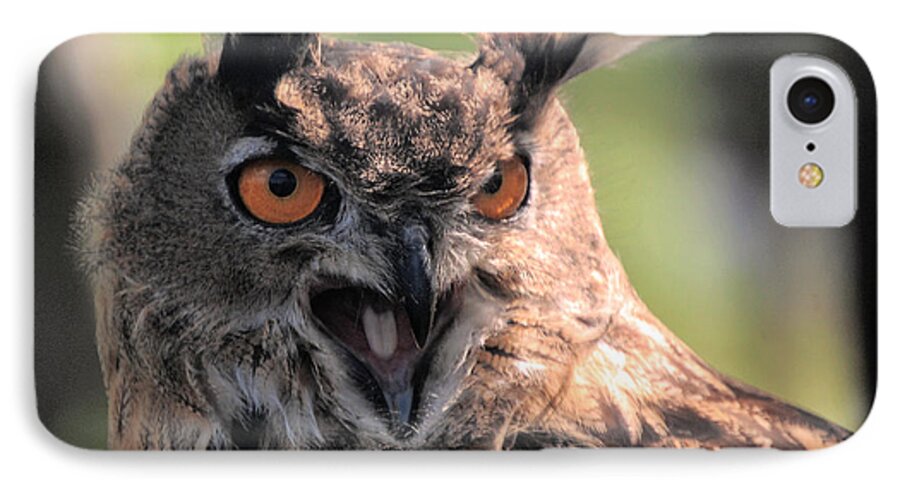 Eagle Owl iPhone 7 Case featuring the photograph Wake Up by Leticia Latocki