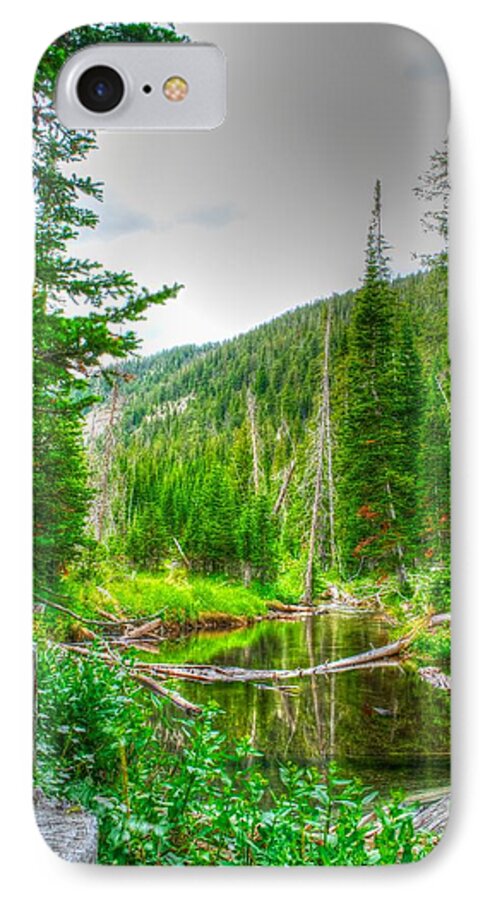 Walk In The Woods iPhone 7 Case featuring the photograph Walk in the woods by Kevin Bone