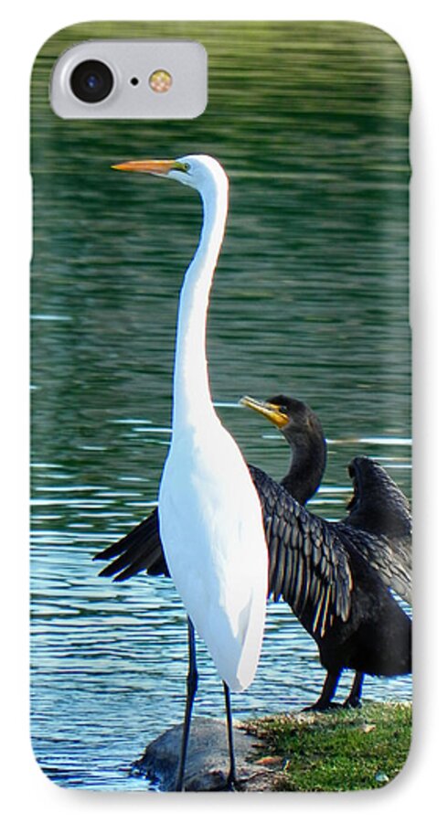 Heron iPhone 7 Case featuring the photograph Watch This by Deb Halloran