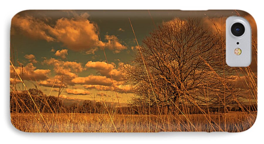 Savannah iPhone 7 Case featuring the photograph Watching from the tall grass by Jasna Buncic