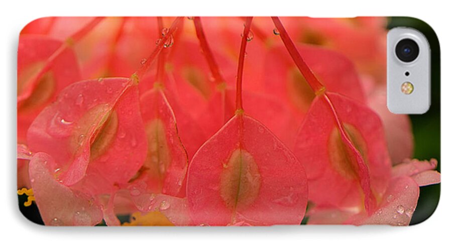 Blooms iPhone 7 Case featuring the photograph Water Droplets I by Kathi Isserman