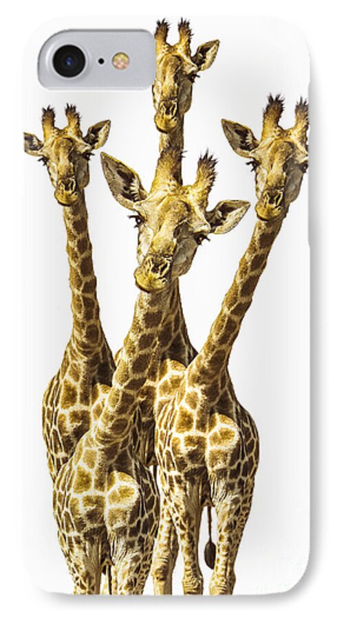 Giraffe iPhone 7 Case featuring the photograph What are YOU looking at? by Diane Diederich