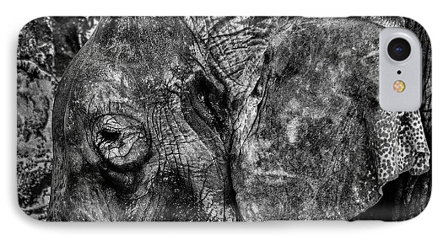 Elephant iPhone 7 Case featuring the photograph What Elephant? by Richard Mason