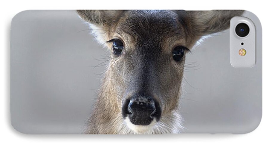Deer iPhone 7 Case featuring the photograph What Is Up With Mike? by Bill Stephens